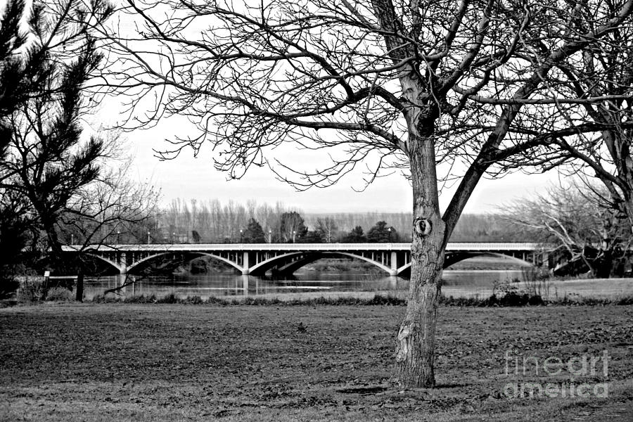 Winter Bridge - Black and White Photograph by Carol Groenen