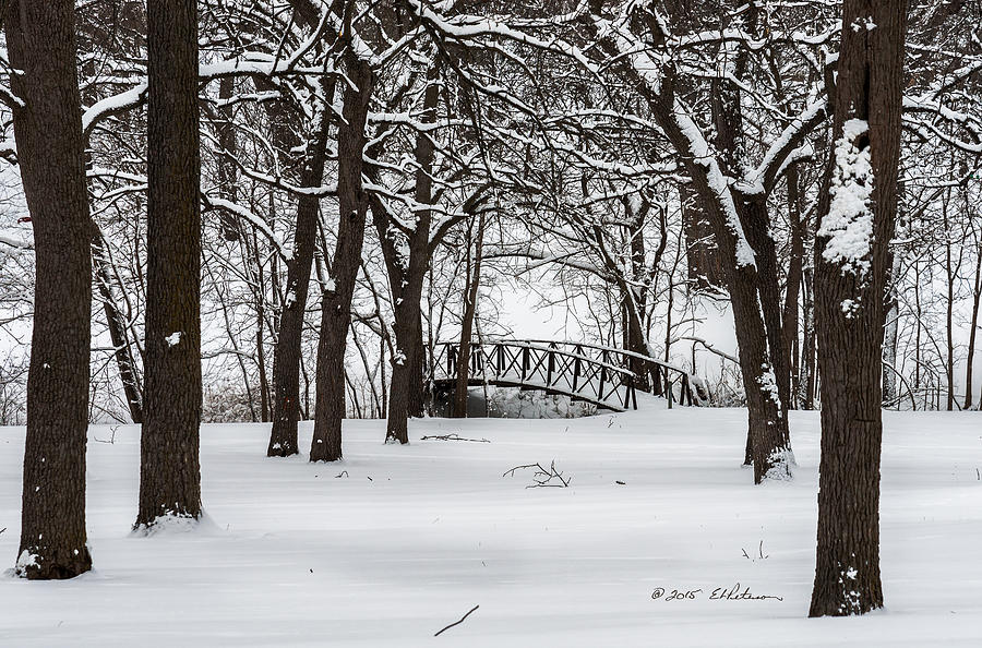 Winter Bridge Photograph by Ed Peterson