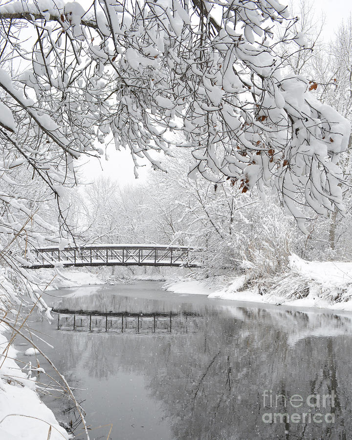 Winter Bridge Photograph by Forest Floor Photography