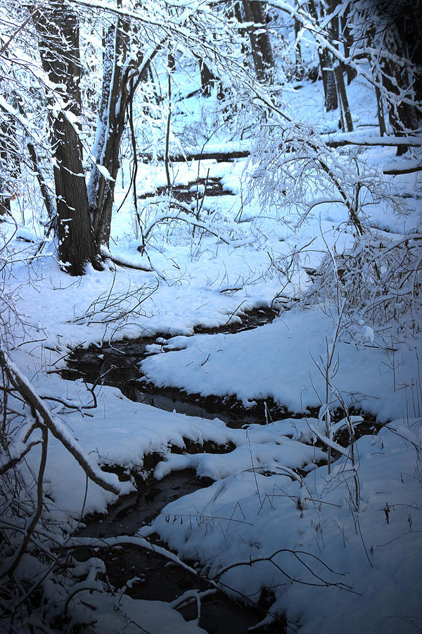 Winter Brook Photograph by Roger Bruneau - Fine Art America