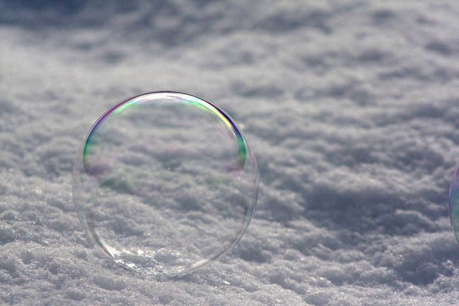 Winter Bubble Photograph by Cathie Douglas