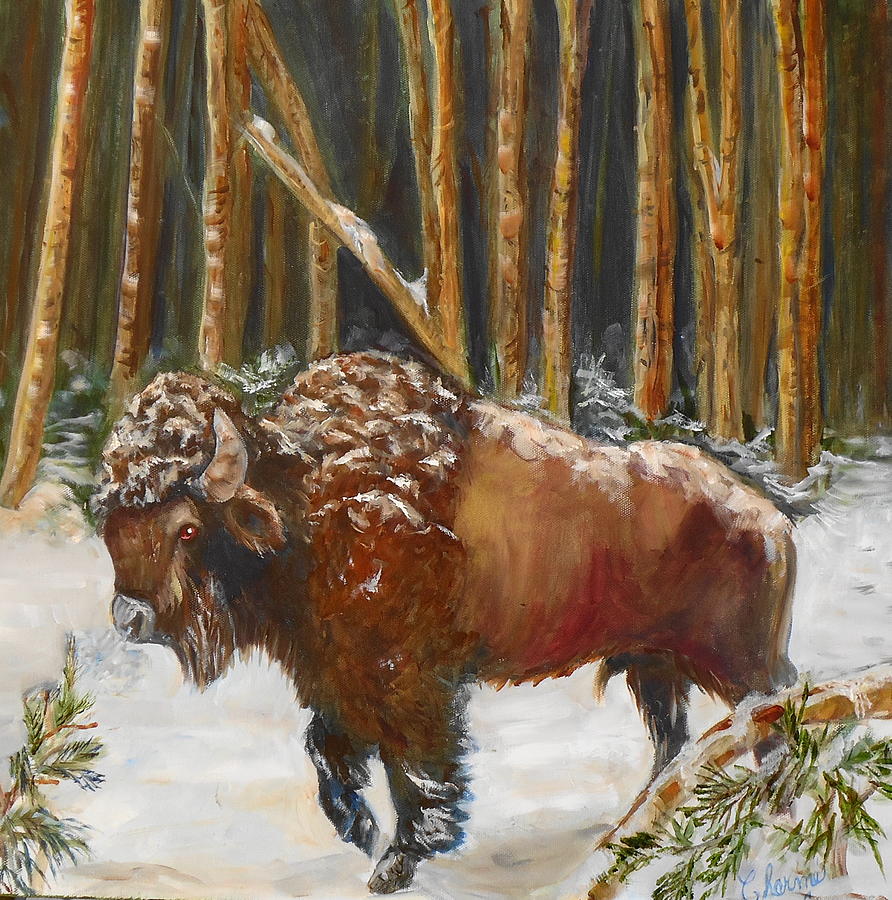 Winter Buffalo Painting by Charme Curtin