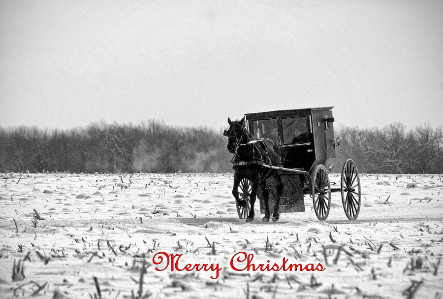 Winter Buggy Merry Christmas Photograph by David Arment