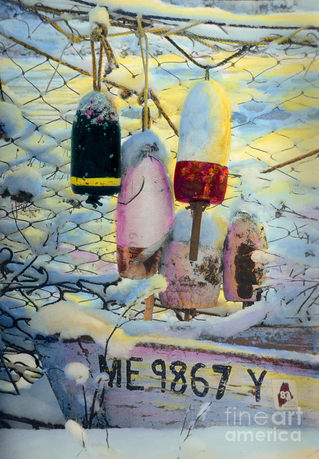Winter Buoys Painting by Cindy McIntyre