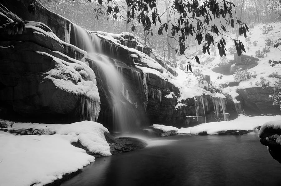 Winter BW Photograph by Joye Ardyn Durham