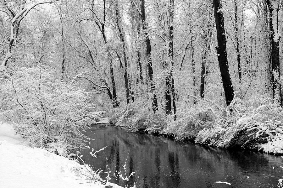 Winter by Crum Creek Photograph by Deborah  Crew-Johnson