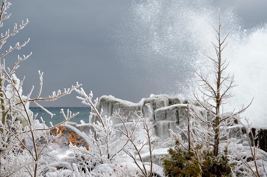 Winter By Shore Photograph by Hella Buchheim