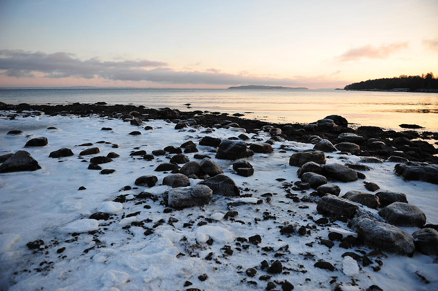 Winter by the Coast Photograph by Randi Grace Nilsberg