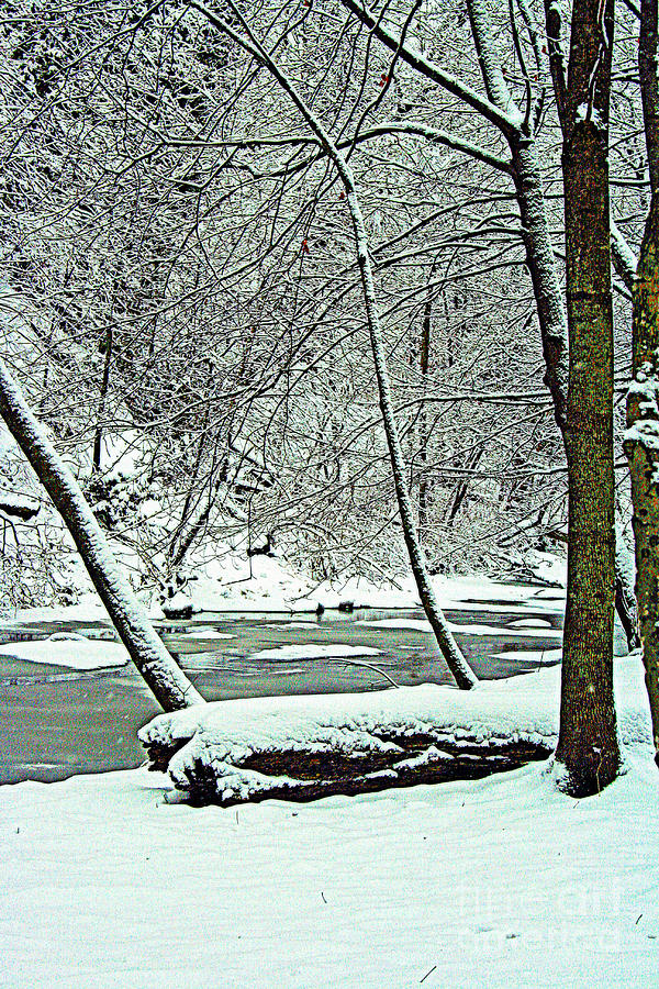 Winter By The Creek Photograph by Kay Novy