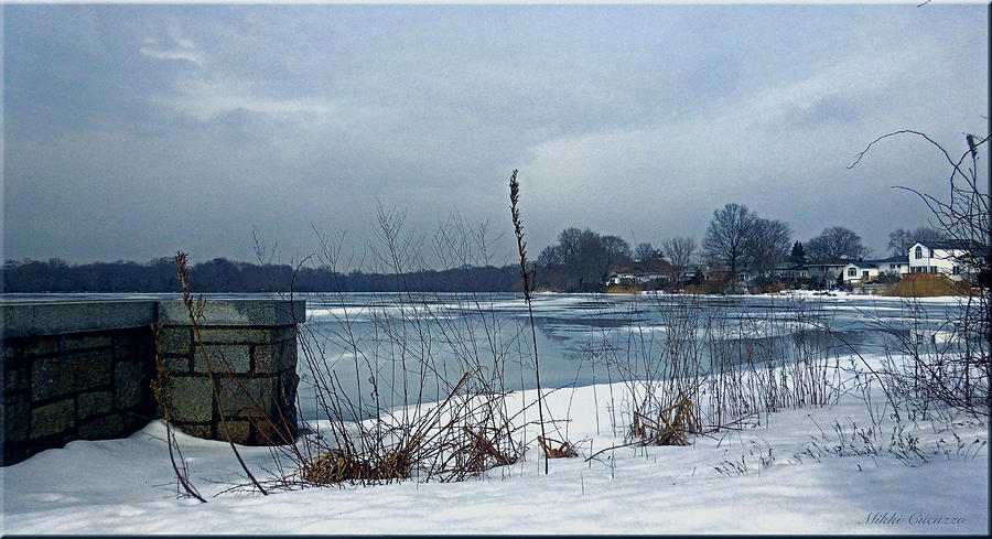 Winter by the lake Photograph by Mikki Cucuzzo