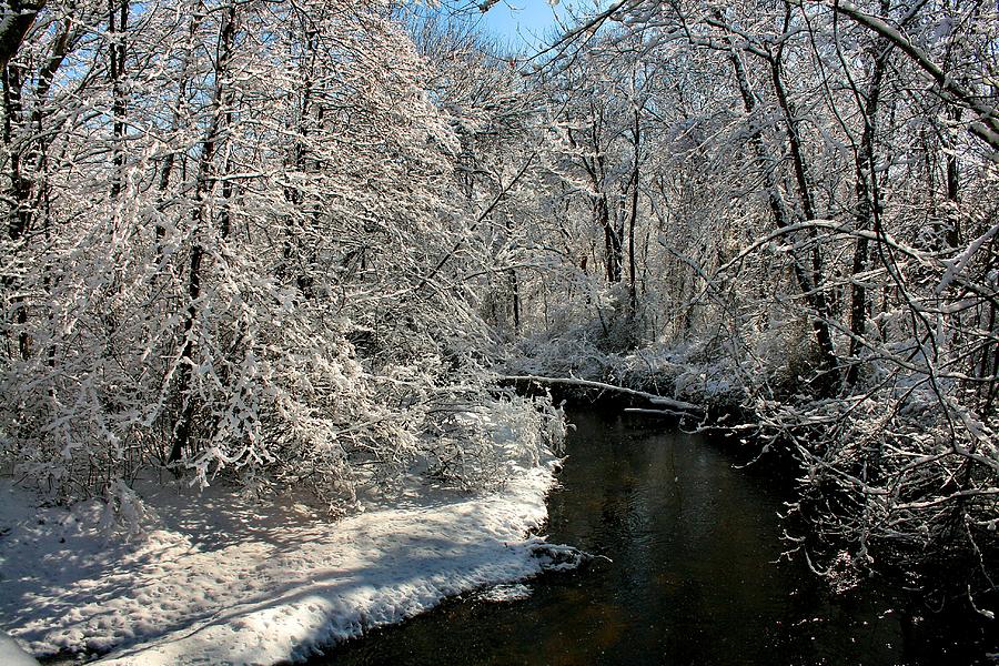 Winter by the Stream Photograph by Roger Becker