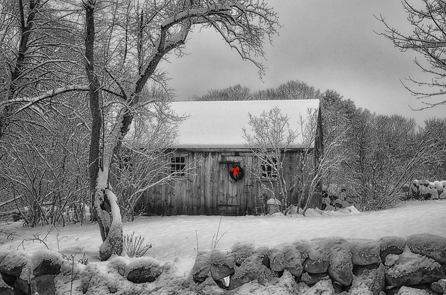 Winter Cabin Photograph by Tricia Marchlik