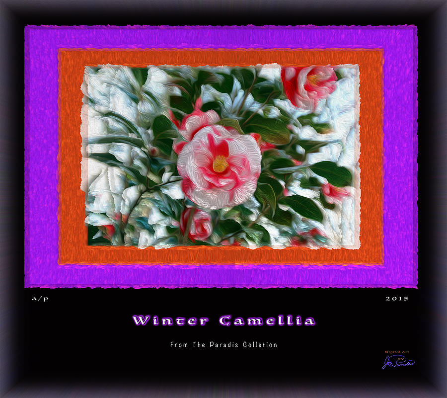Winter Camellia Digital Art by Joe Paradis