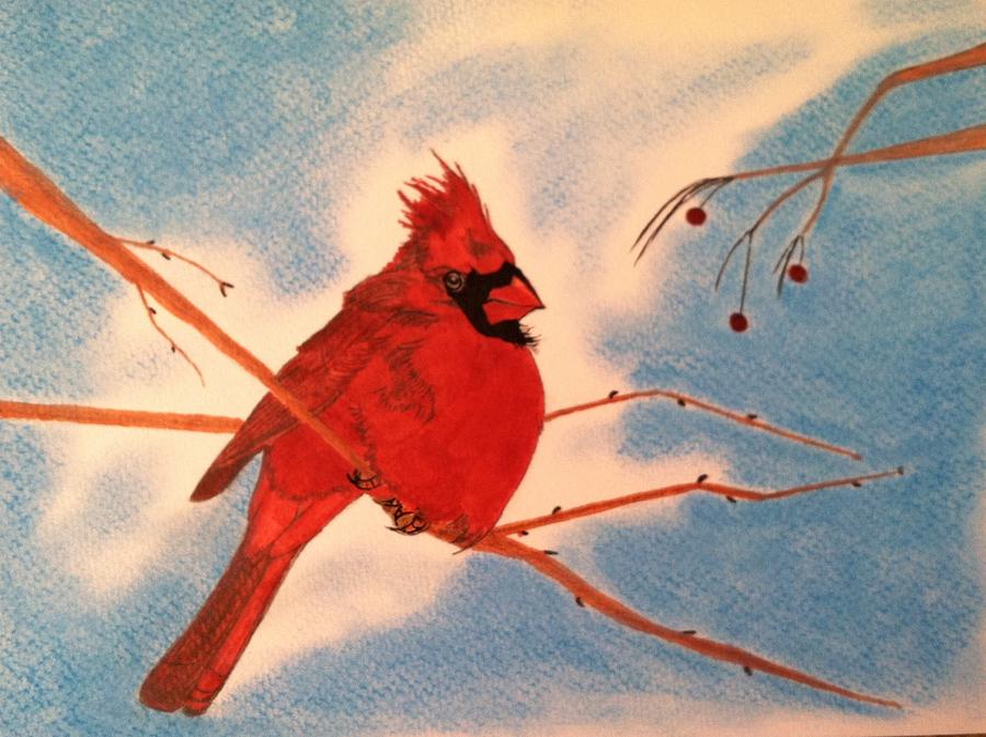 Winter Cardinal Drawing by Tony Clark