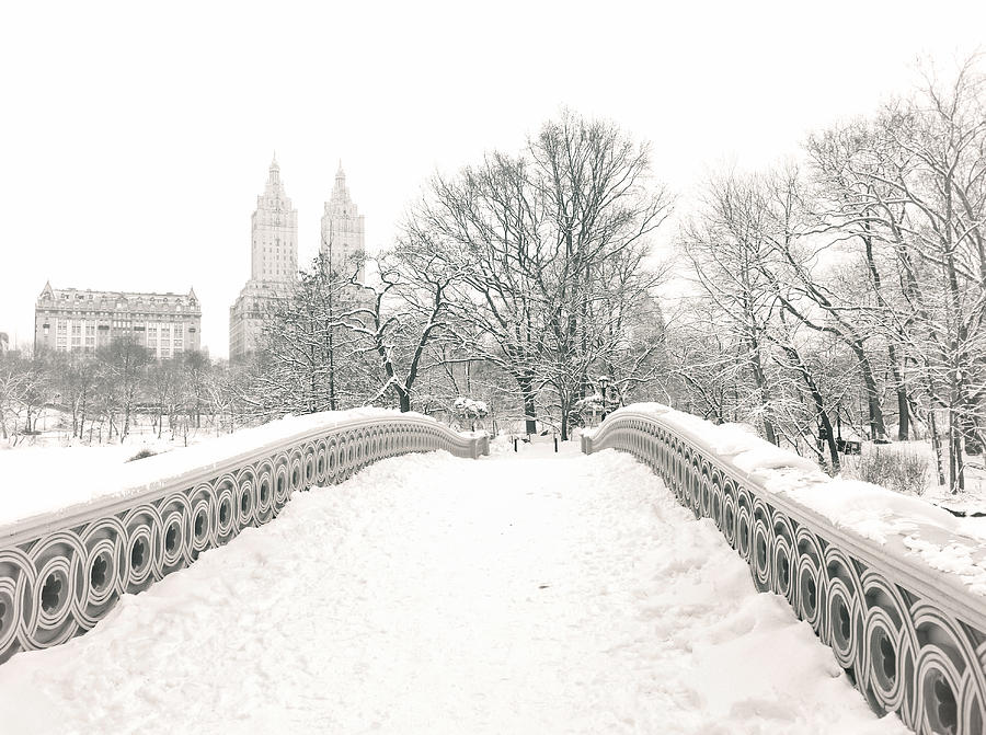Winter - Central Park - Bow Bridge - New York City Photograph by Vivienne Gucwa