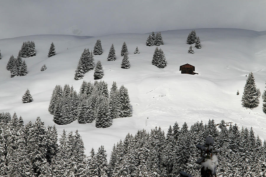 Winter Chalet Amidst The Trees On Snowy Photograph by Gerhard Fitzthum