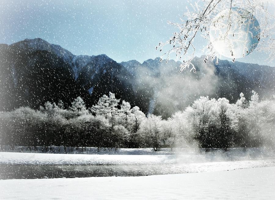Winter Chill Photograph by Alma Yamazaki