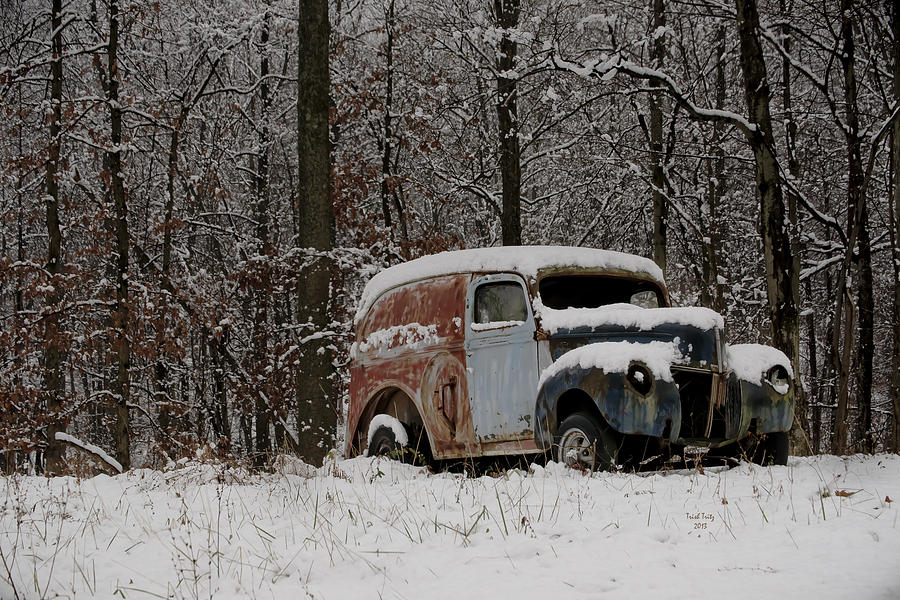 Winter Classic Photograph by Trish Tritz