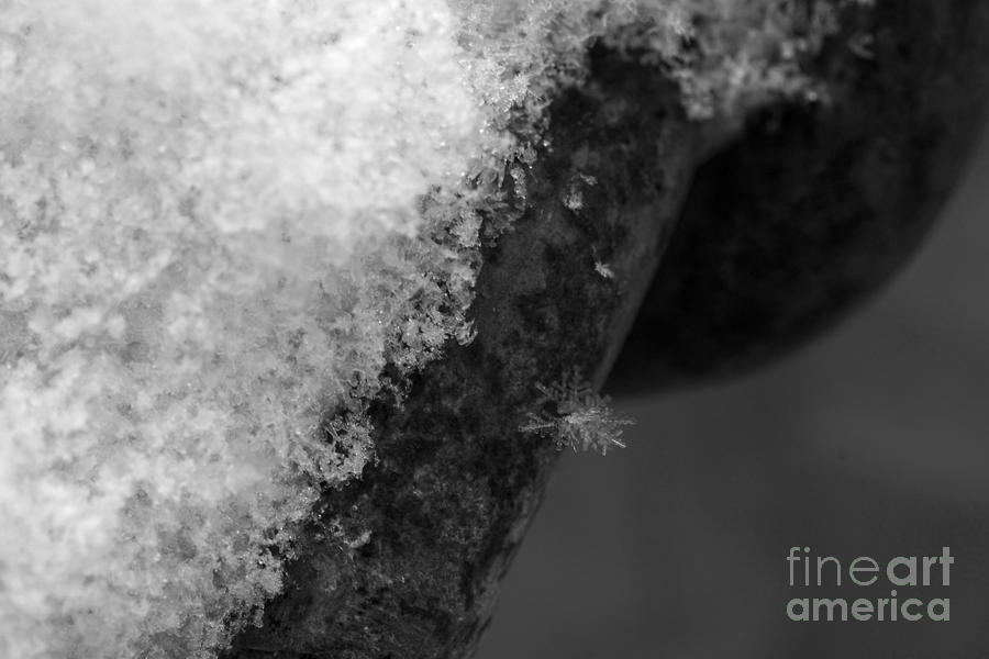 Cold Winter Photograph - Winter Coat Black and White by Mike Mooney Cold Winter Photograph - Winter Coat Black and White by Mike Mooney