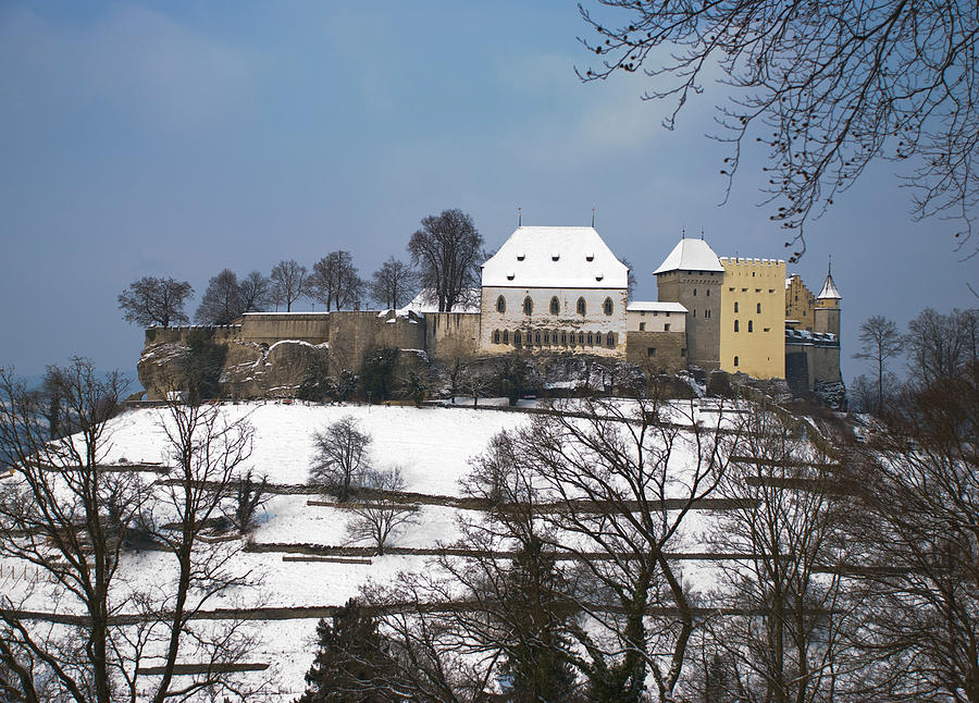Winter Collection - Lenzburg Castle In The Snow Photograph