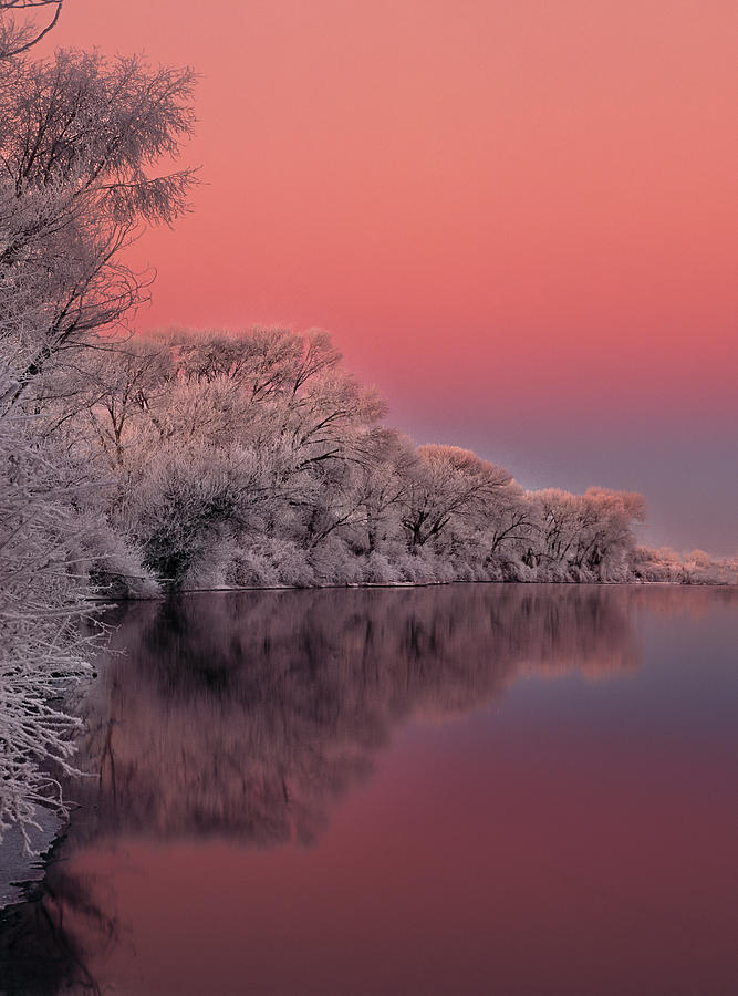Winter Color Photograph by Leland D Howard