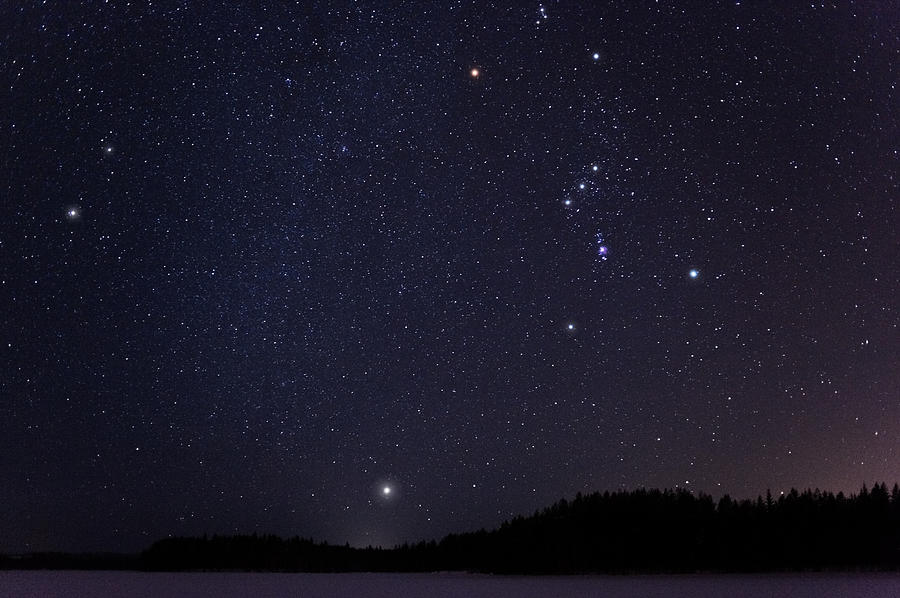 Winter constellations Photograph by Eerik