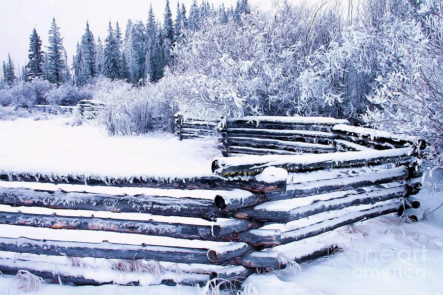 Winter Corral Photograph by Roland Stanke