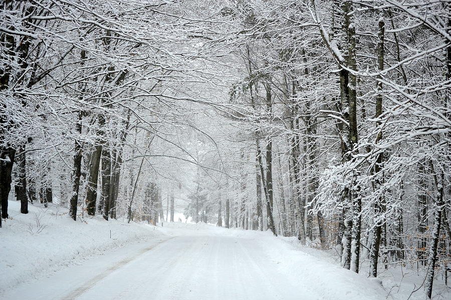 Winter Country Road Photograph by Lisa Jaworski - Fine Art America