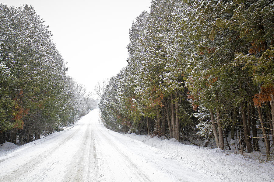 Winter Country Roads Photograph by Nick Mares