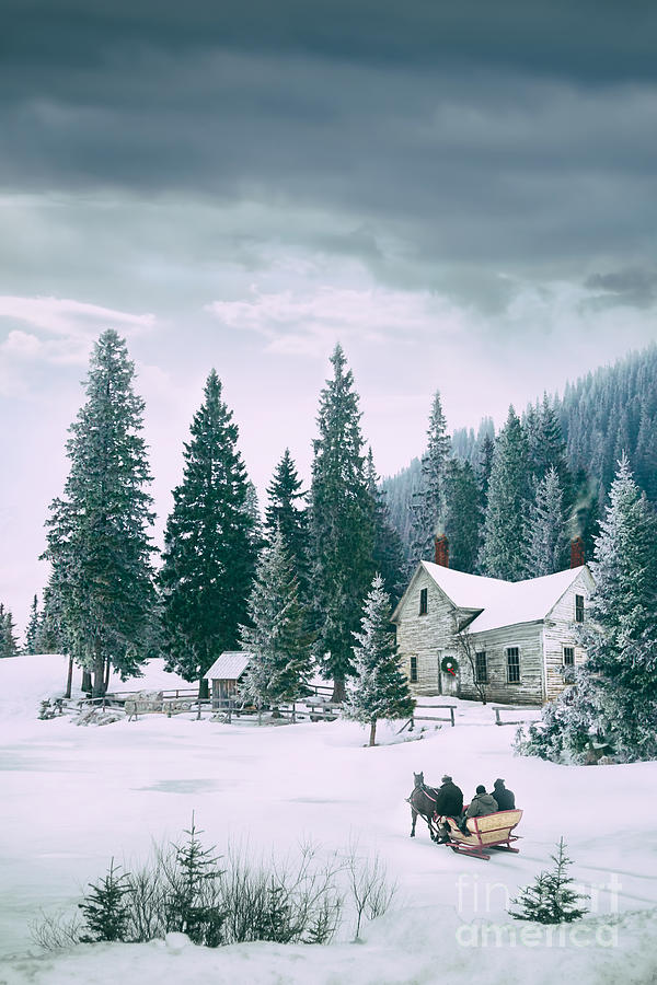 Winter country scene  Photograph by Sandra Cunningham