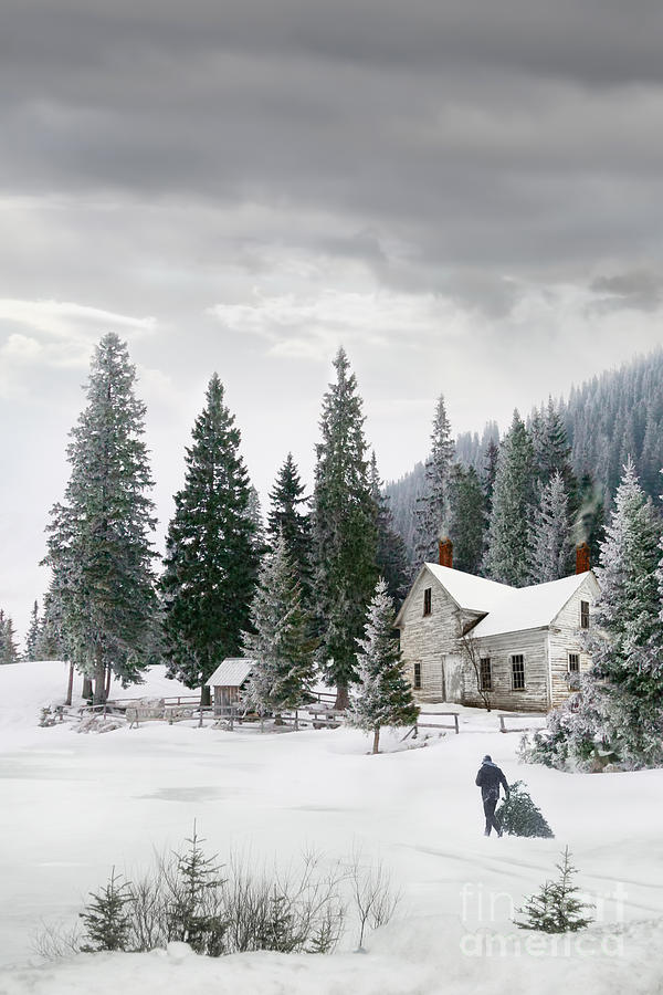 Winter country scene with a man carrying a tree Photograph by Sandra Cunningham