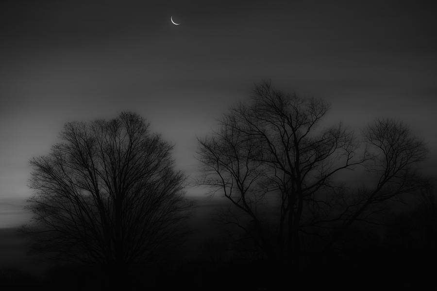 Black And White Photograph - Winter Crecent Moon by Bill Wakeley
