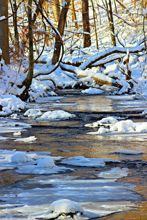 Winter Photograph - Winter Creek by Candice Trimble Winter Photograph - Winter Creek by Candice Trimble