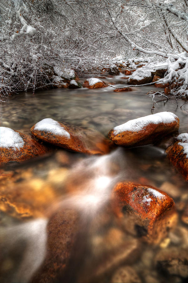 Winter Creek Photograph by David Andersen