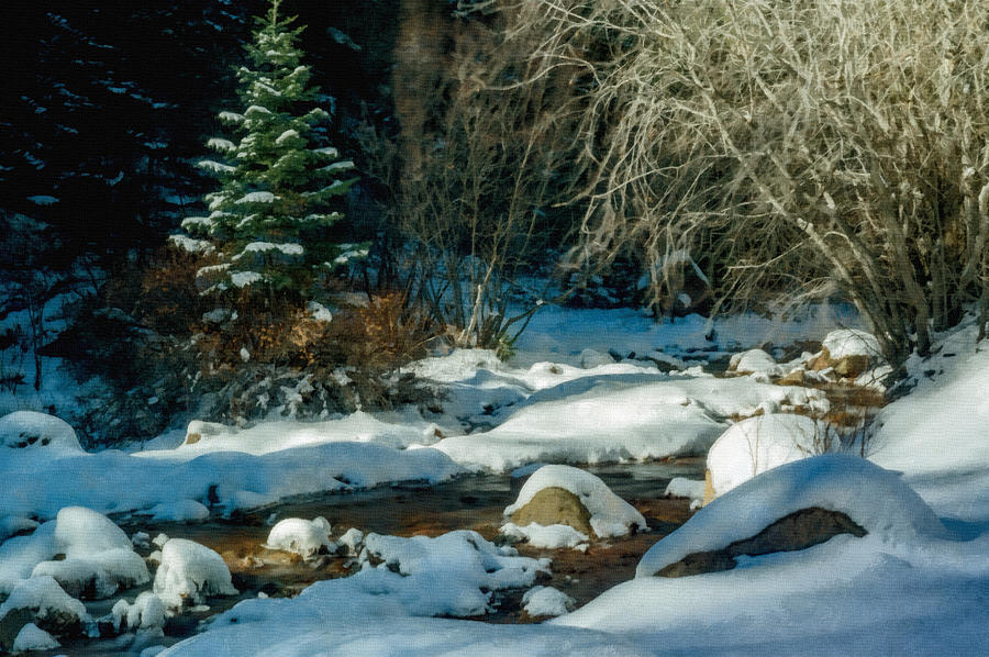 Winter Creek Digital Art by Ernest Echols