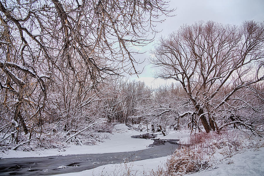 Winter Creek Photograph by James BO Insogna