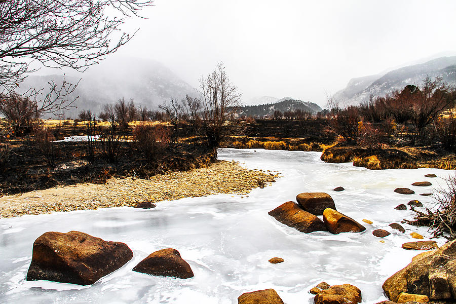 Winter Creek Photograph by Juli Ellen