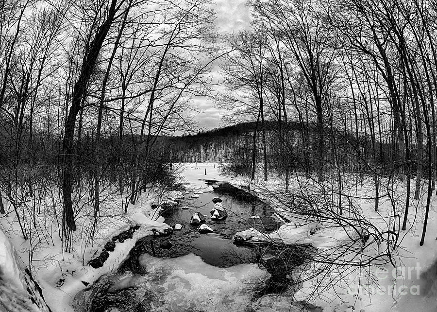 Winter Creek Photograph by Mark Miller