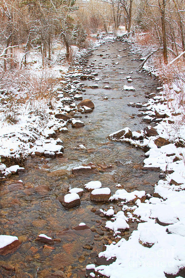 Winter Creek Scenic View Photograph by James BO Insogna