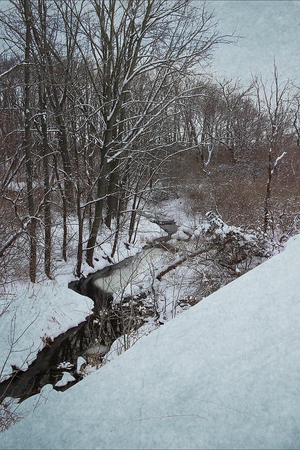 Winter Creek Photograph by Scott Kingery