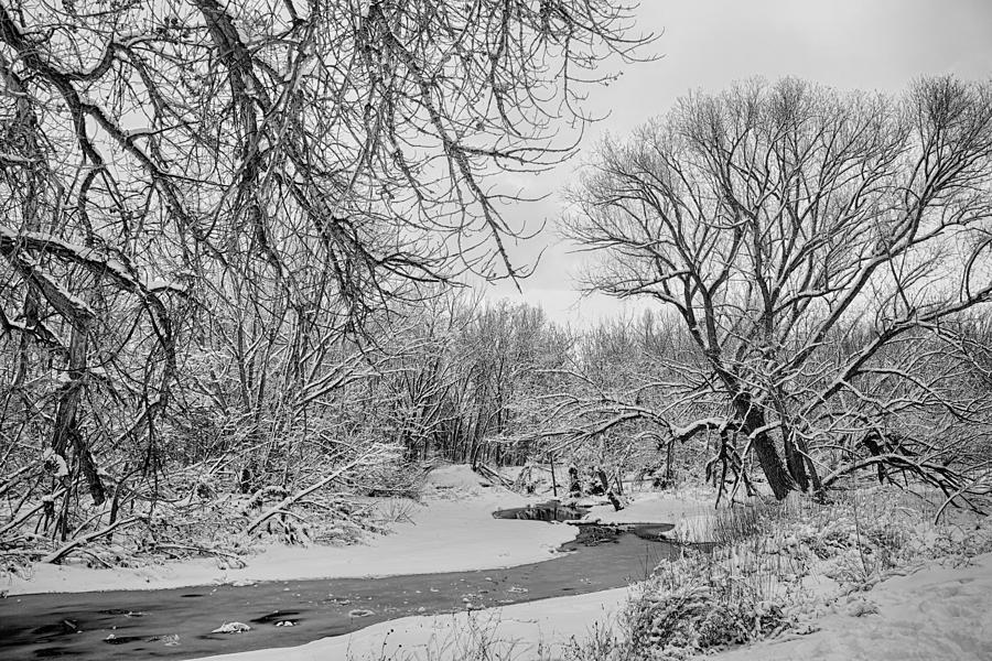Winter Creek in Black and White Photograph by James BO Insogna