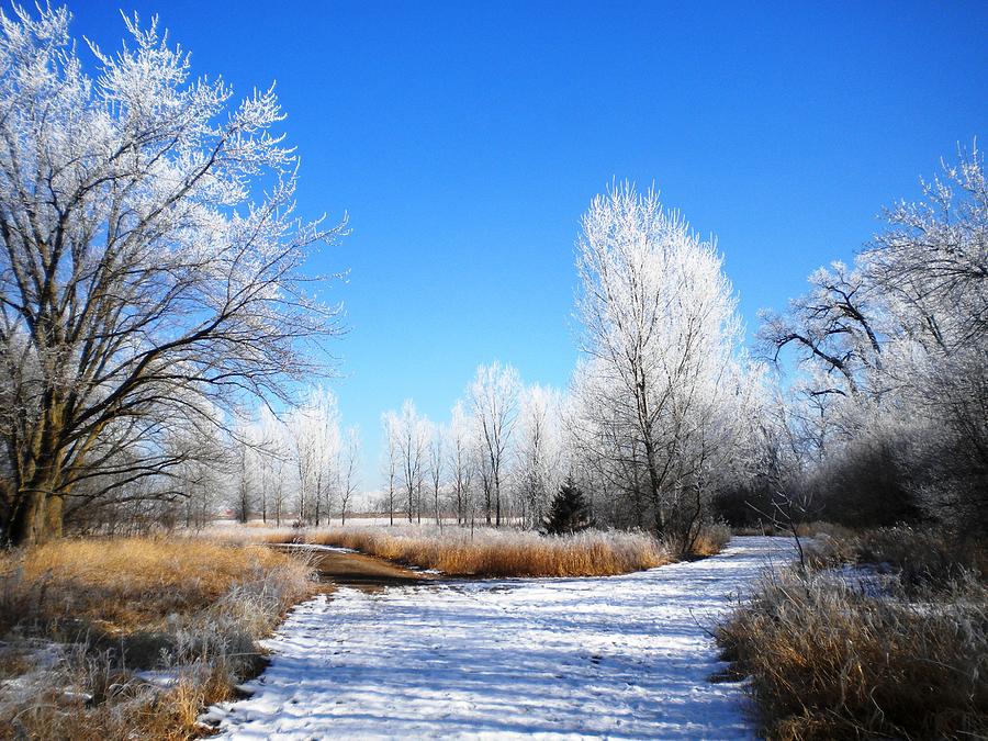Winter Photograph - Winter Crossroads by Jesse Peterson