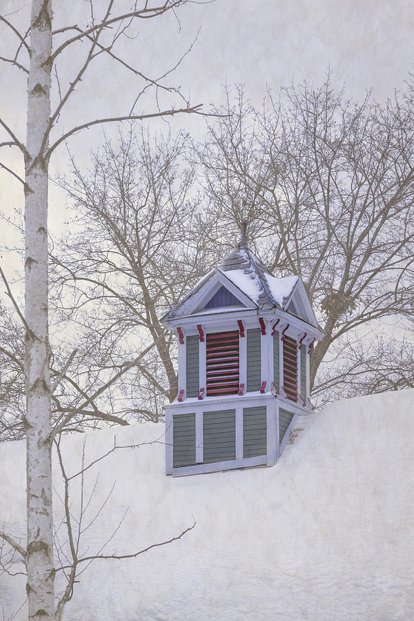Winter Cupola Photograph by Tom Singleton