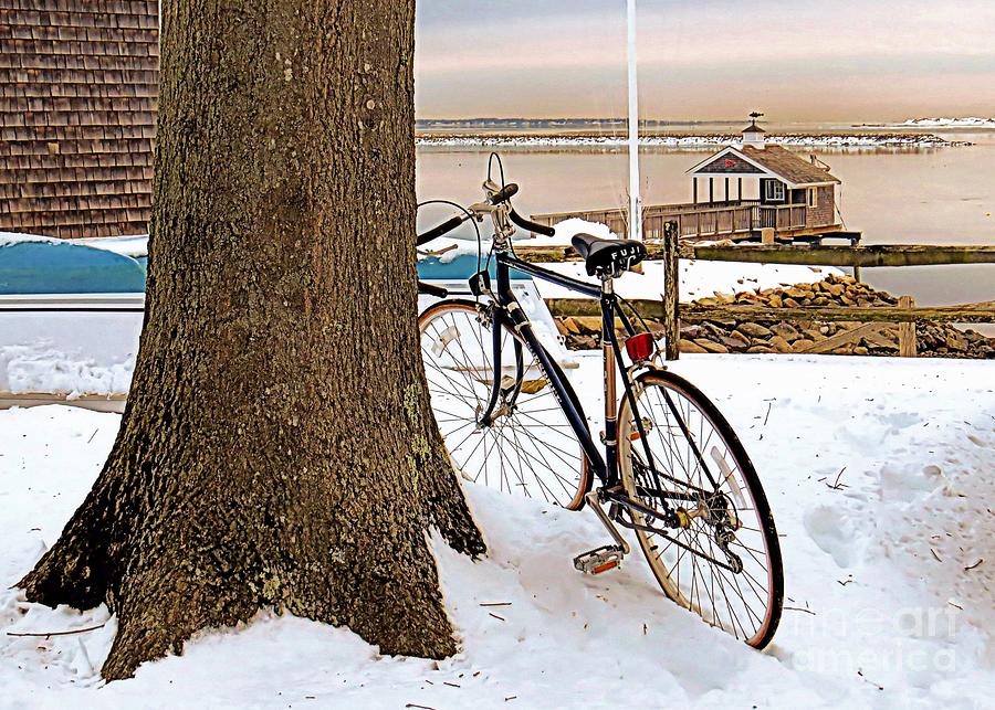 Winter Cycling Photograph by Janice Drew
