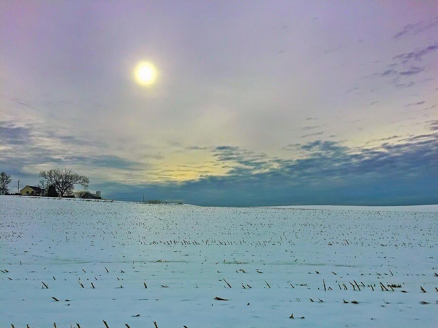 Winter Dawn Photograph by Chris Montcalmo