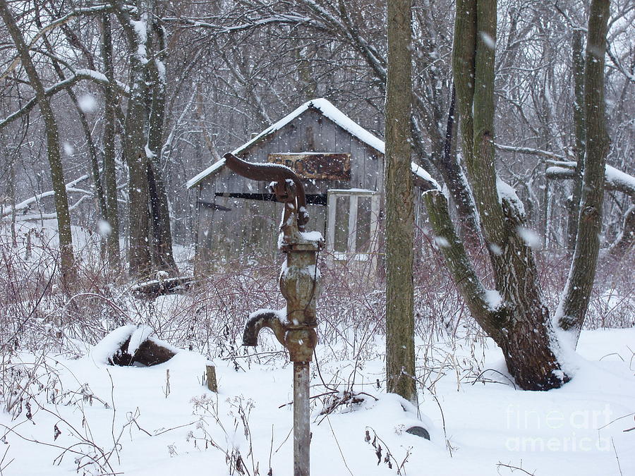 Winter Daze Photograph by Anthony Cornett