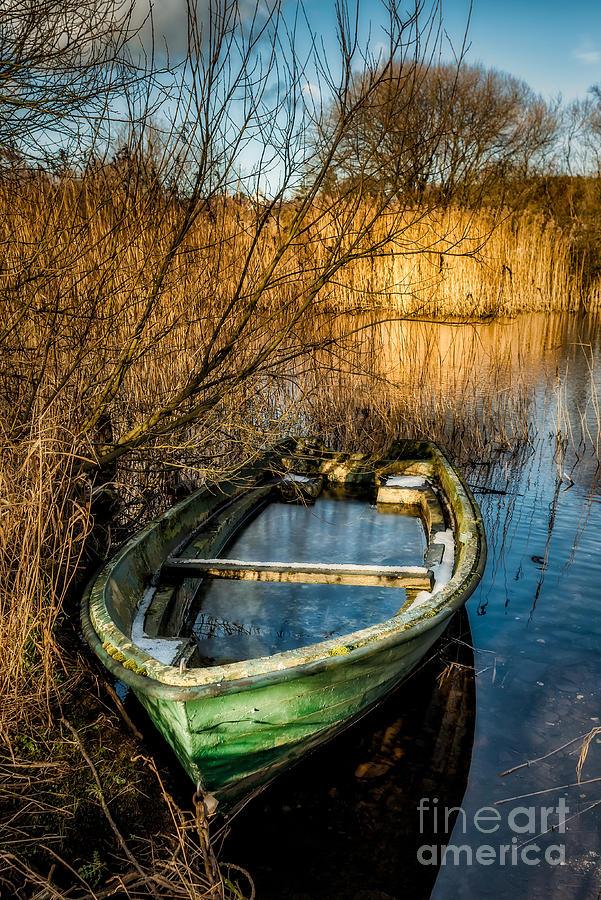 Winter Photograph - Winter Decay by Adrian Evans