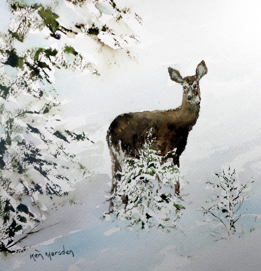 Winter Deer Painting by Ken Marsden