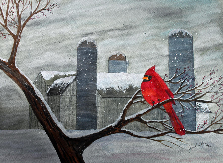Cardinal Painting - Winter Delight by Jack G  Brauer