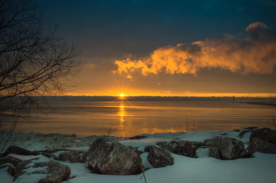 Winter Delight Photograph by James  Meyer